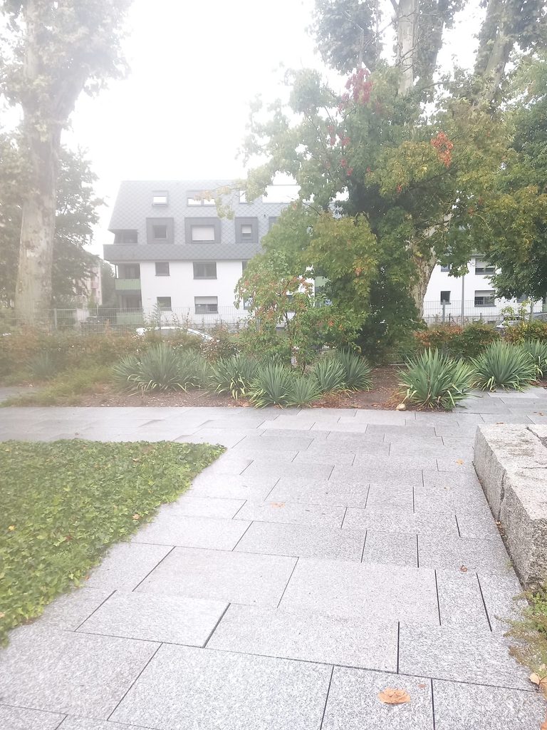 Granitplattenweg mit Yucca-Beeten, Grünanlagenpflege am Bildungshaus St. Bernhard